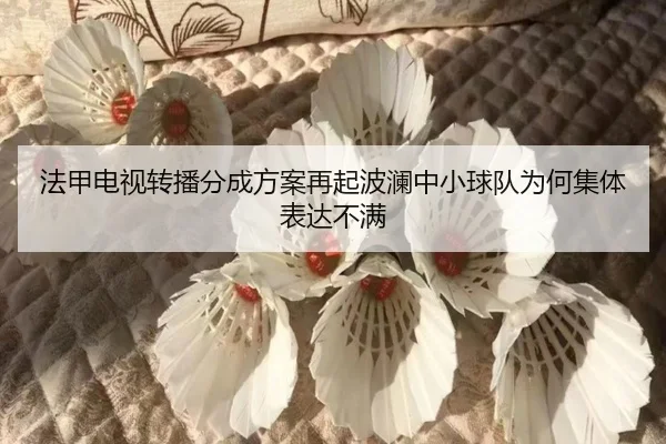 法甲电视转播分成方案再起波澜中小球队为何集体表达不满